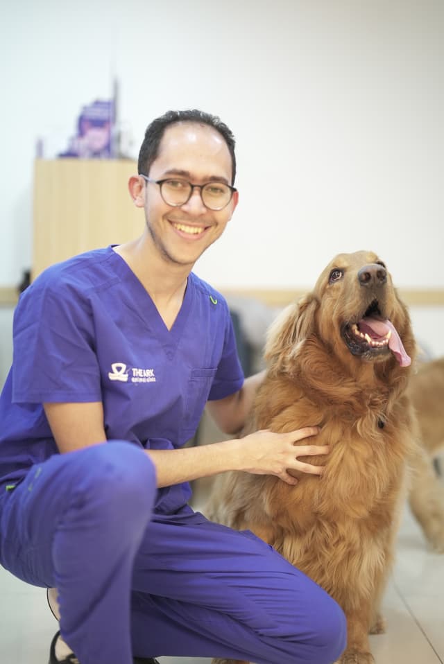 Dr. Maged Mahmoud