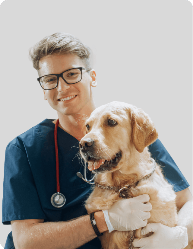 pet schedule image