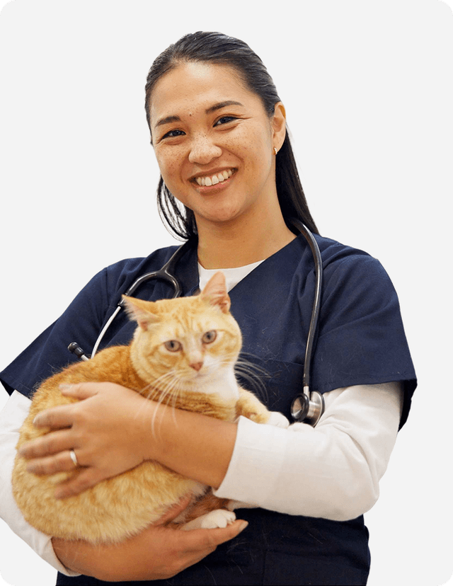 pet schedule image