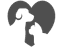 General & Specialist Pet Consultations icon