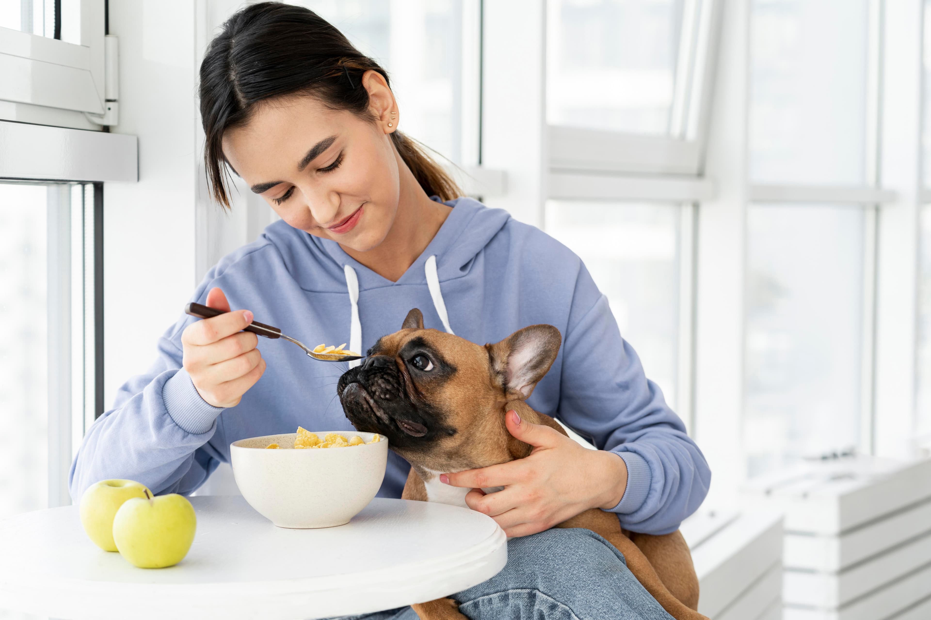 Nutritious Food for Pets