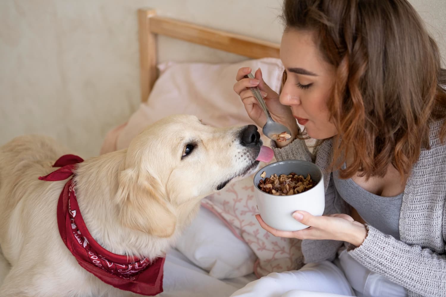 pet nutrition in Dubai